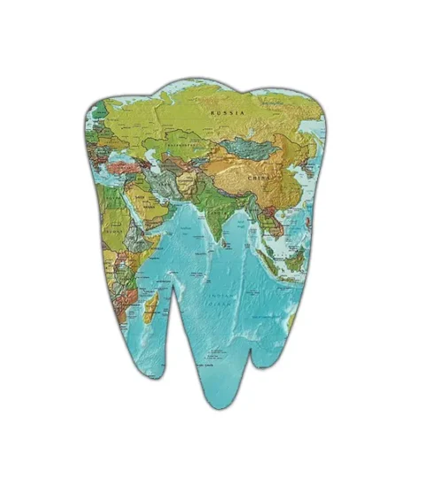 teeth map